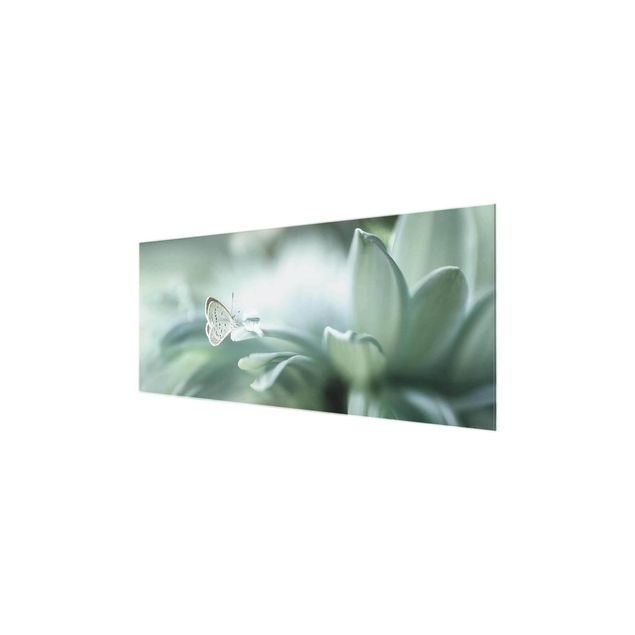 Quadro in vetro - Farfalla E Gocce di rugiada In Pastel Verde - Panoramico
