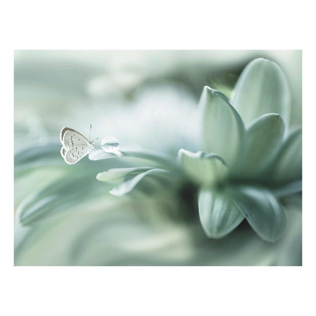 Quadro in vetro - Farfalla E Gocce di rugiada In Pastel Verde - Large 3:4