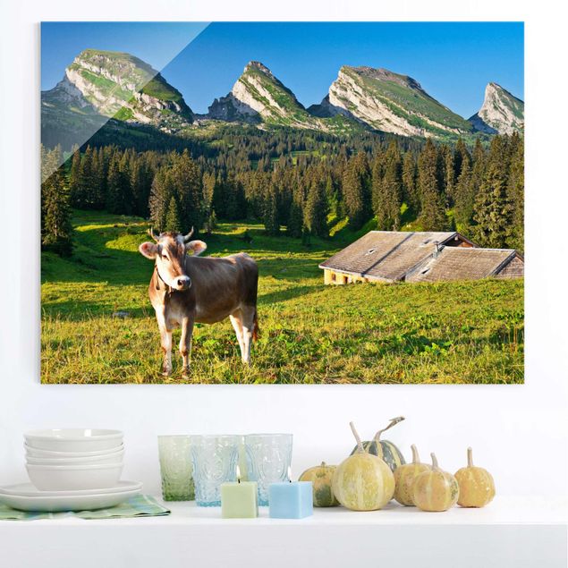 Quadri animali Prato alpino svizzero con mucca