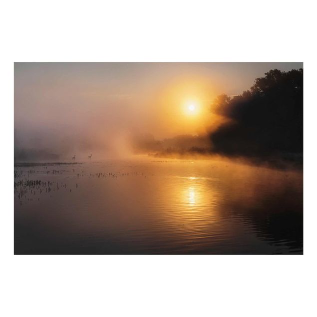 Quadro in vetro - Sunrise on the lake with deer in the fog - Quadrato 1:1