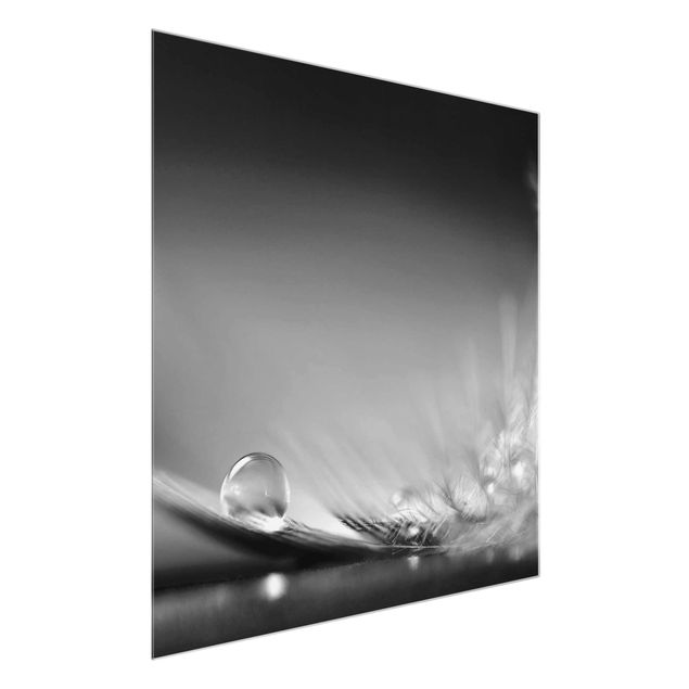 Quadro in vetro - Story of a Waterdrop Black White - Quadrato 1:1