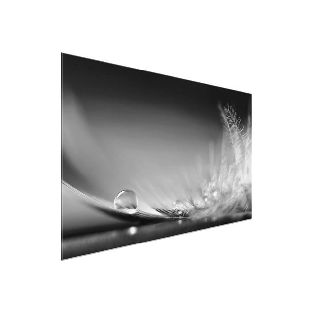 Quadro in vetro - Story of a Waterdrop Black White - Orizzontale 3:2