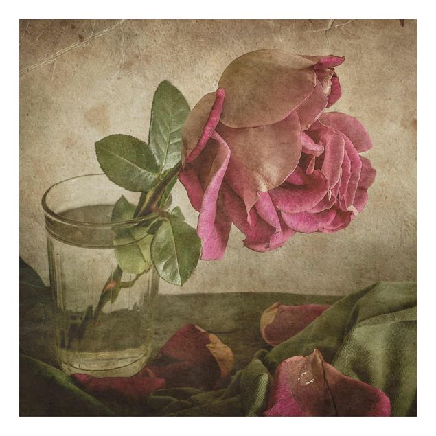 Quadro in vetro - Tear of a Rose - Quadrato 1:1
