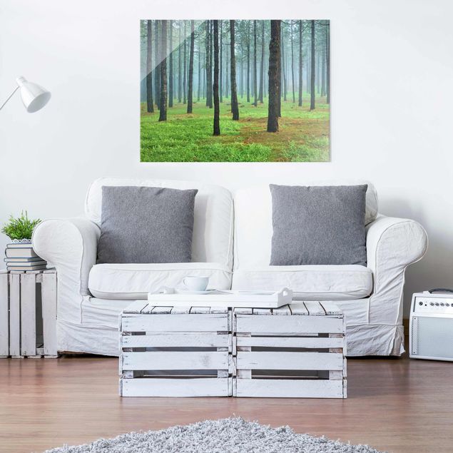Quadro in vetro - Deep forest with pines on La Palma - Orizzontale 4:3