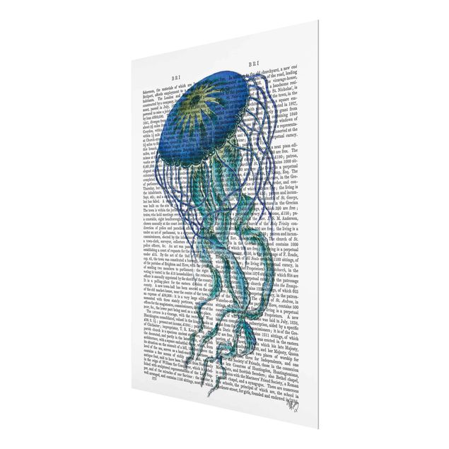 Quadro in vetro - Lettura Animal - Medusa - Verticale 3:4