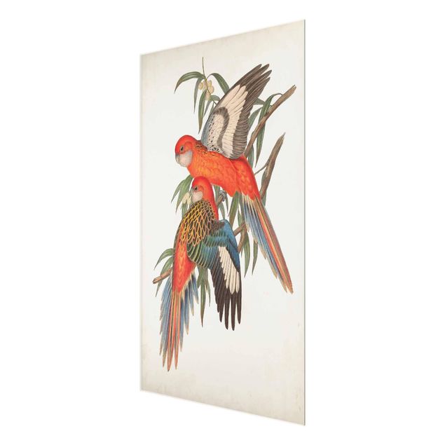 Quadro in vetro - Tropical Parrot I - Verticale 2:3