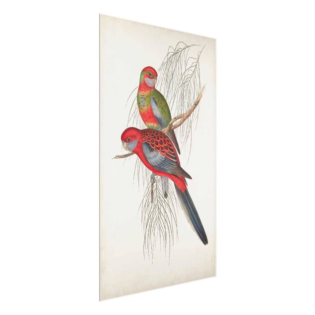 Quadro in vetro - Tropical Parrot Iii - Verticale 2:3