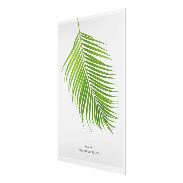 Quadro in vetro - Tropical Leaf Areca Palm - Verticale 2:3