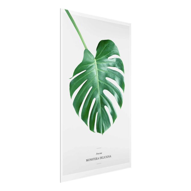 Quadro in vetro - Tropical Leaf Monstera - Verticale 2:3