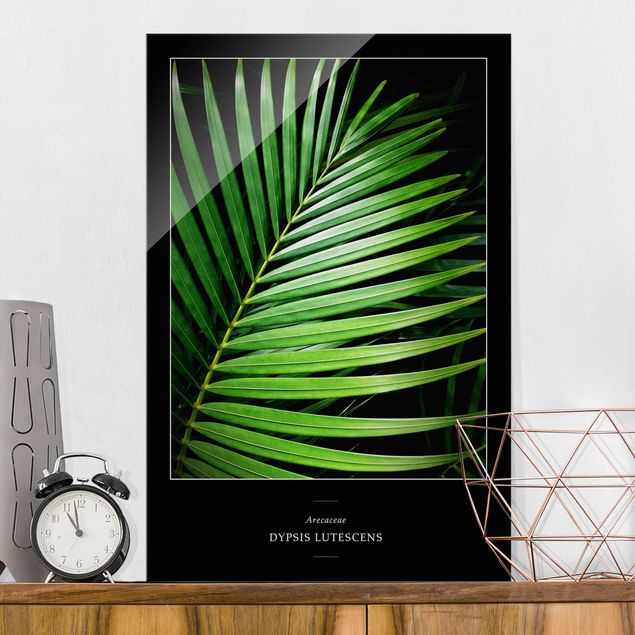 Lavagna magnetica in vetro Foglia di palma tropicale