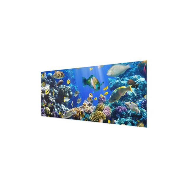 Quadro in vetro - Underwater Reef - Panoramico