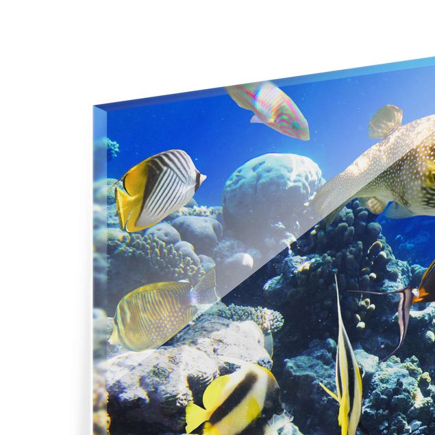 Quadro in vetro - Underwater Reef - Quadrato 1:1