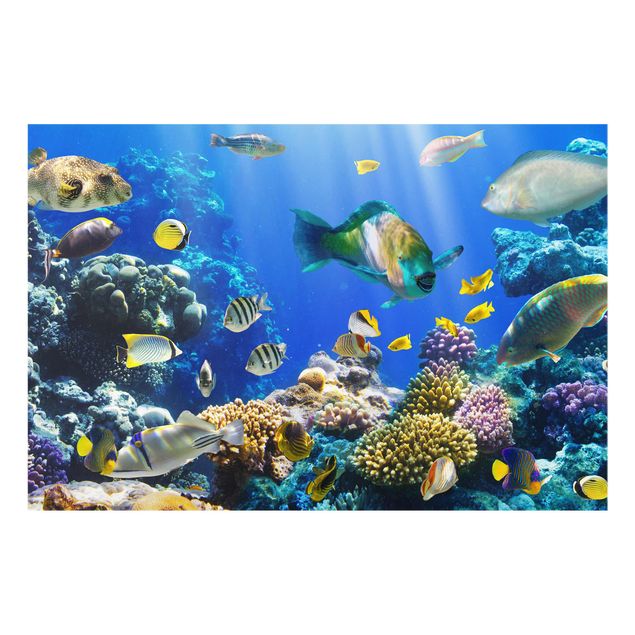 Quadro in vetro - Underwater Reef - Orizzontale 3:2