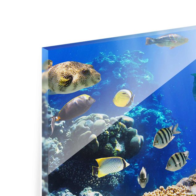 Quadro in vetro - Underwater Reef - Orizzontale 3:2