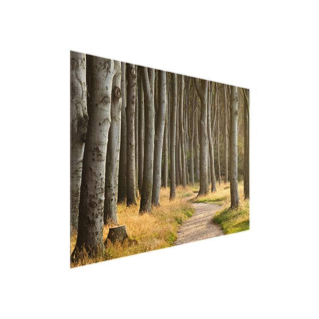 Quadro in vetro - Forest road in Northern Germany - Orizzontale 4:3