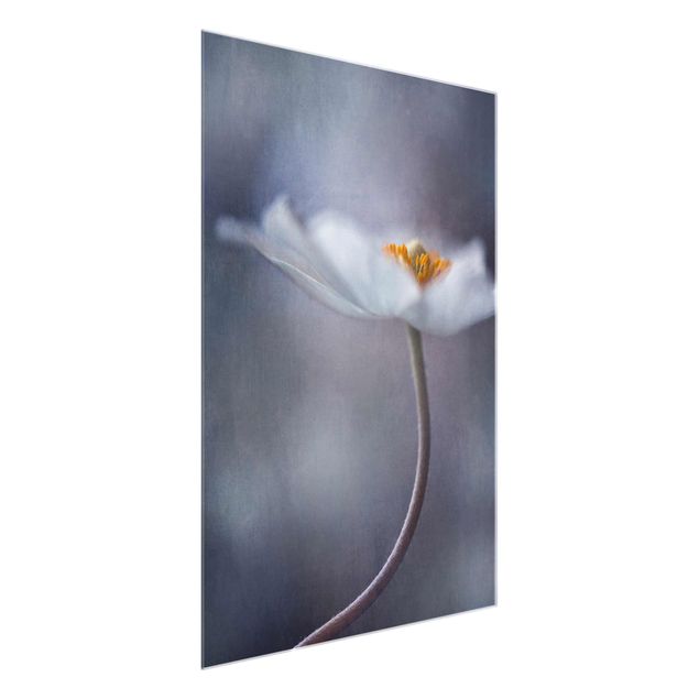 Quadro in vetro - Anemone Fiore bianco - Verticale 3:4