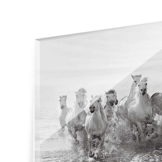 Quadro in vetro - Cavalli bianchi nel Mare - Orizzontale 3:2