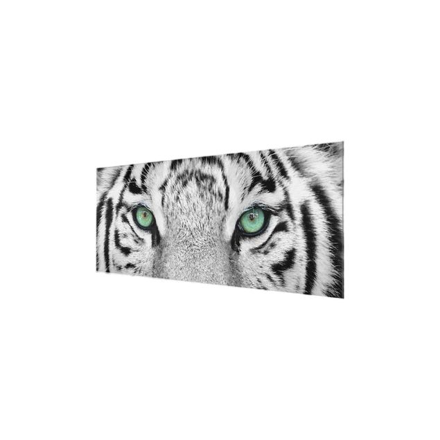 Quadro in vetro - White Tiger - Panoramico
