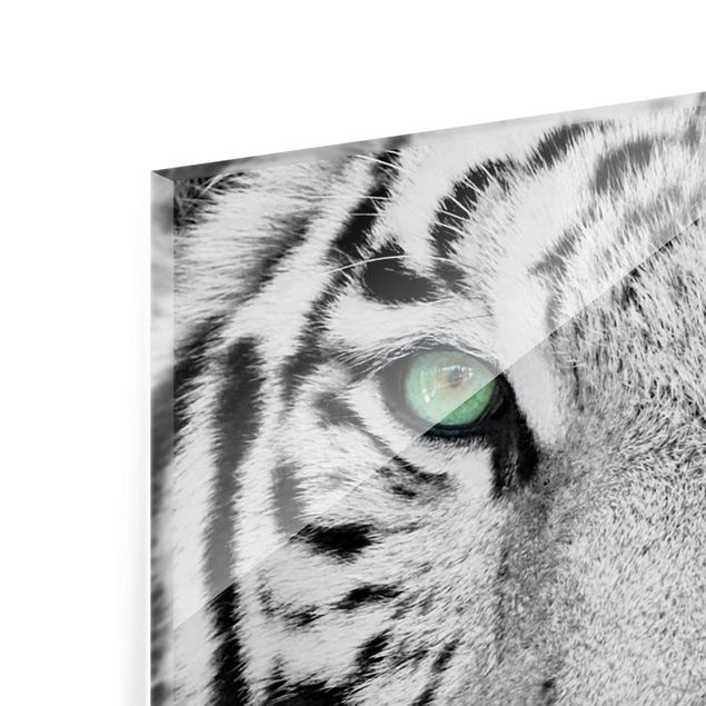 Quadro in vetro - White Tiger - Quadrato 1:1