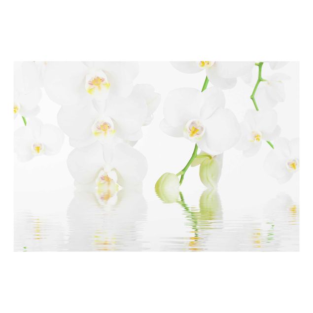 Quadro in vetro - Wellness Orchid - Orizzontale 3:2
