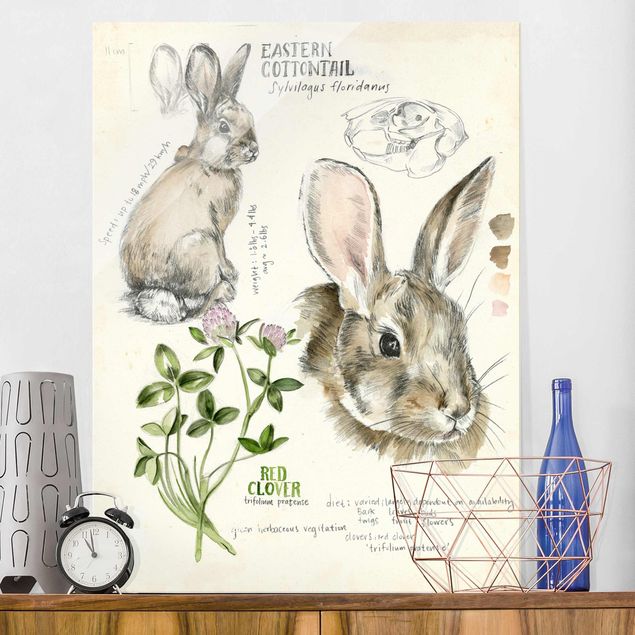 quadri con animali Diario della natura selvaggia - Coniglio