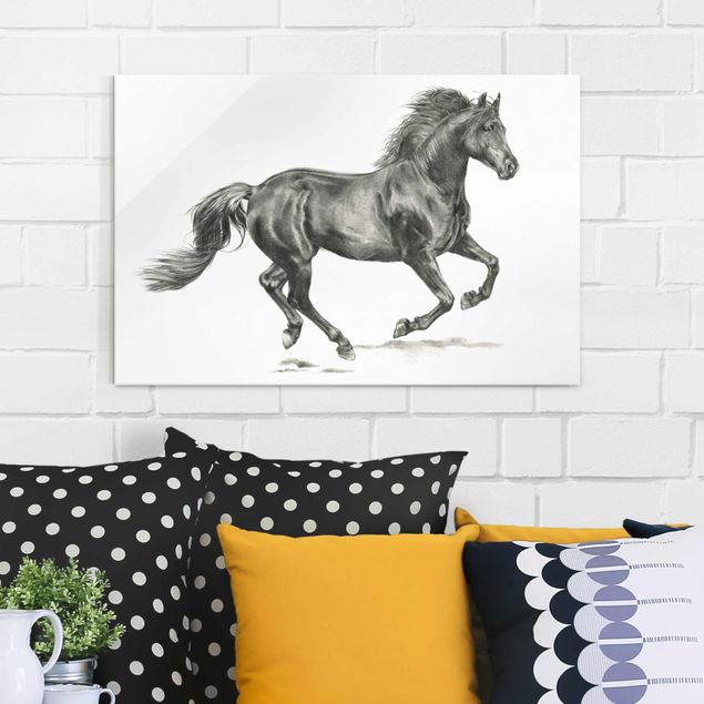 quadri con animali Prova del cavallo selvaggio - Stallone