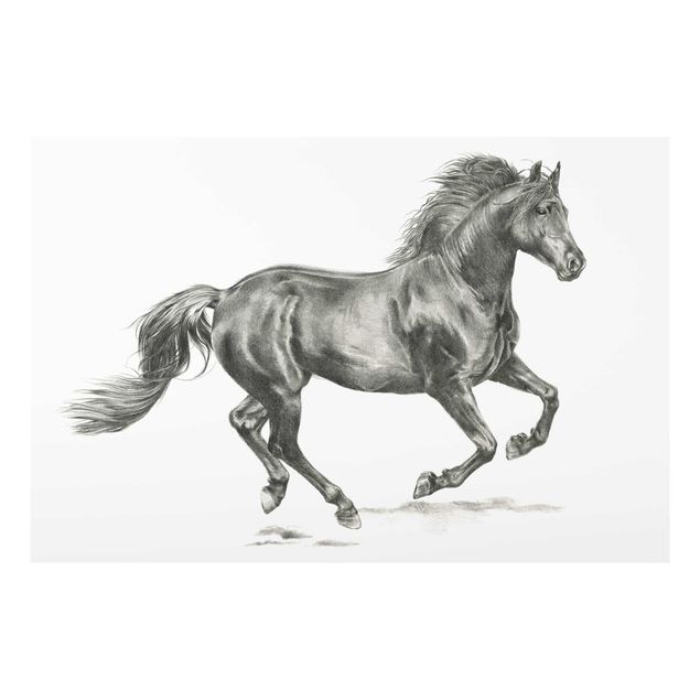 Quadro in vetro - Processo Wild Horse - Stallion - Orizzontale 3:2