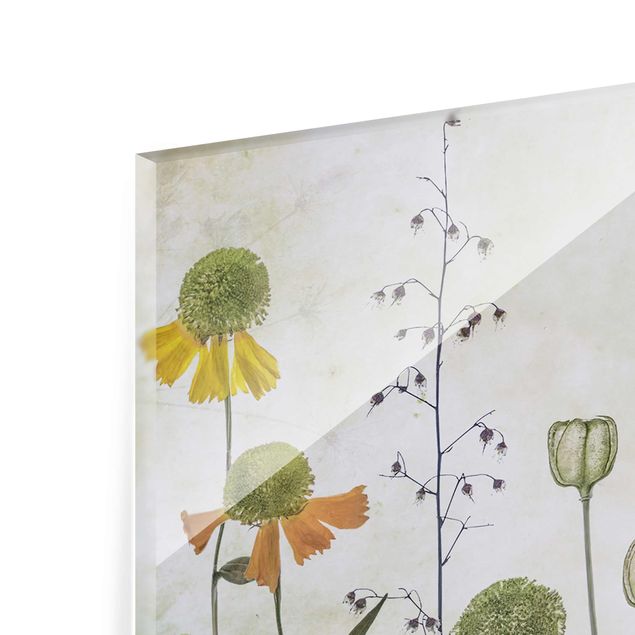 Quadro in vetro - Delicate Helenium Flowers - Panoramico