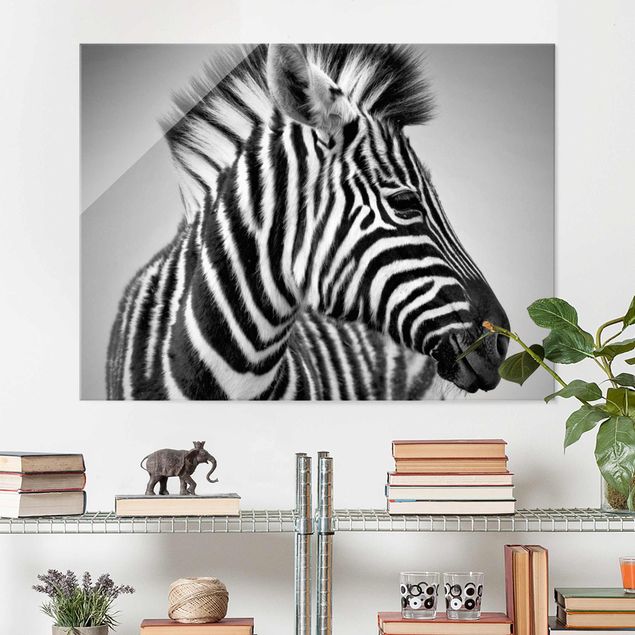 quadri con animali Ritratto di piccola zebra II