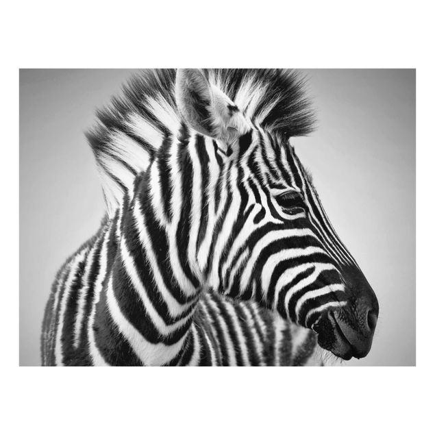 Quadro in vetro - Zebra Baby Portrait II - Orizzontale 4:3