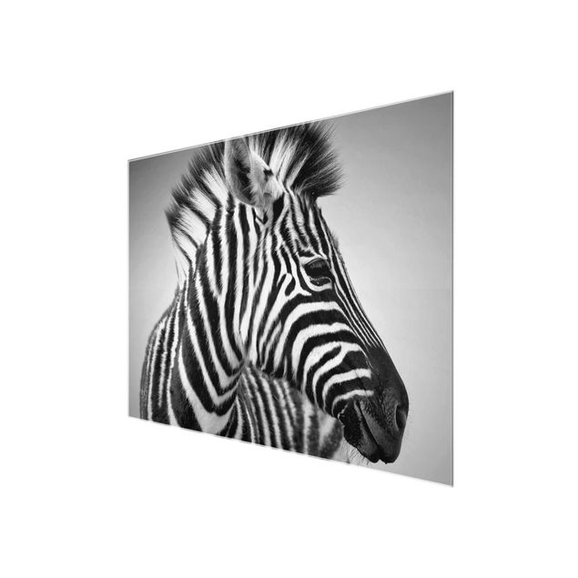 Quadro in vetro - Zebra Baby Portrait II - Orizzontale 4:3