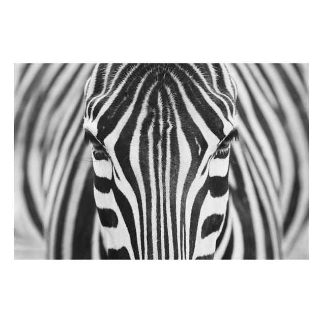 Quadro in vetro - Zebra Look - Orizzontale 3:2