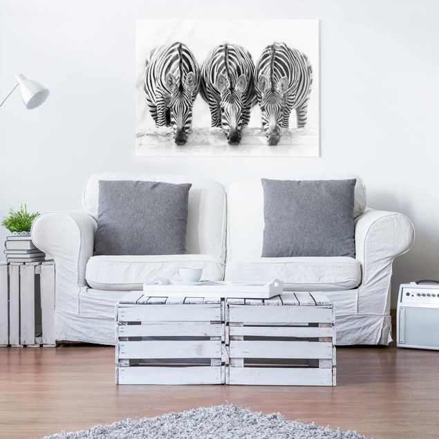Lavagna magnetica vetro Trio di zebre in bianco e nero
