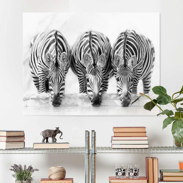 Quadri animali Trio di zebre in bianco e nero