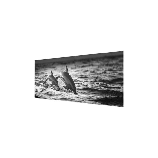Quadro in vetro - Due delfini che saltano - Panoramico