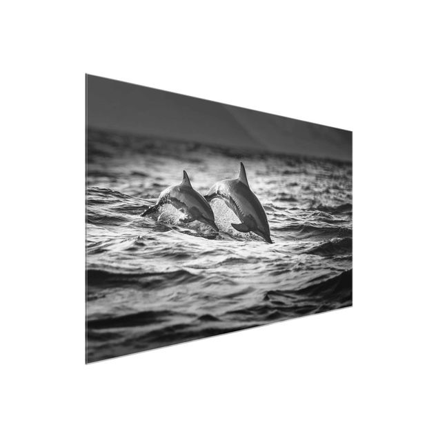 Quadro in vetro - Due delfini che saltano - Orizzontale 3:2