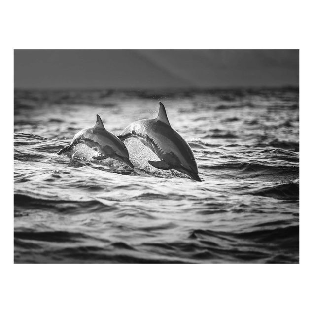 Quadro in vetro - Due delfini che saltano - Large 3:4