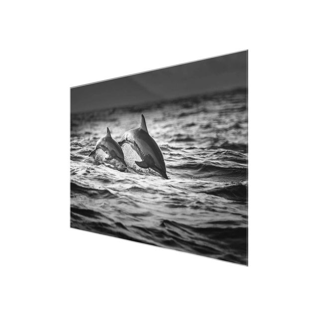 Quadro in vetro - Due delfini che saltano - Large 3:4