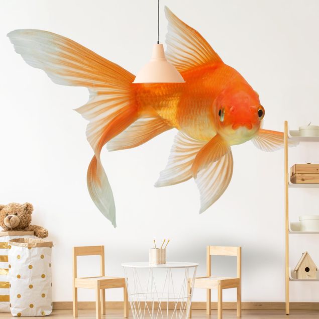 Carta da parati - Goldfish Is Watching You