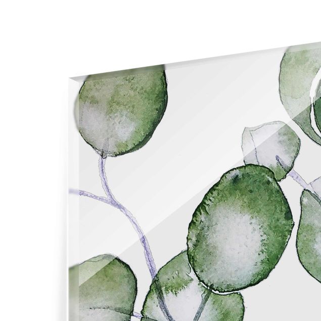 Quadro in vetro - Ramo di eucalipto in acquerello verde