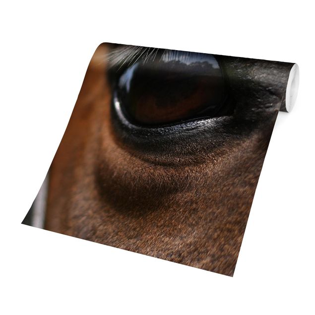 Carta da parati - Horse Eye