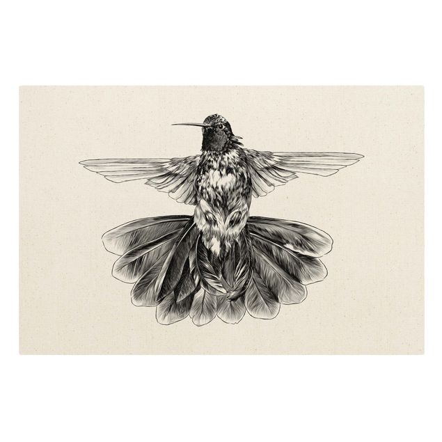 Stampe su tela Illustrazione Colibrì volante Nero