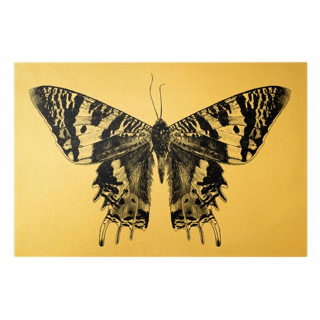 Quadri su tela Illustrazione di farfalla del Madagascar che vola