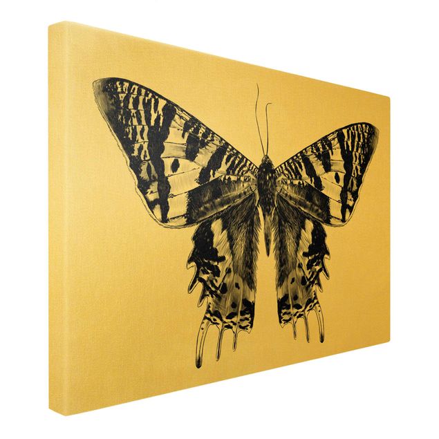 Stampa su tela - Illustrazione di farfalla del Madagascar che vola - Orizzontale 3x2