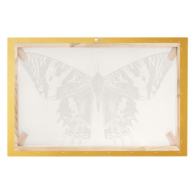 Stampa su tela - Illustrazione di farfalla del Madagascar che vola - Orizzontale 3x2