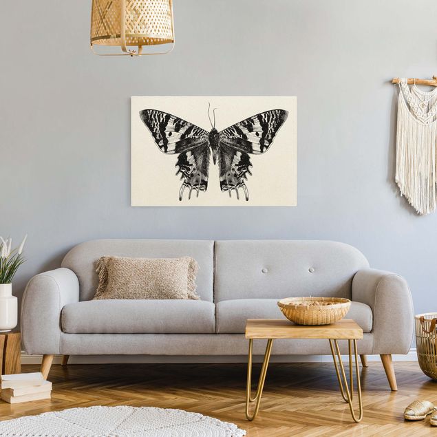Quadro su tela animali Illustrazione Farfalla volante del Madagascar
