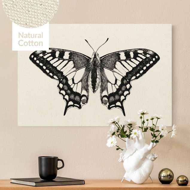 Quadri con farfalle Illustrazione Coda di rondine volante nero