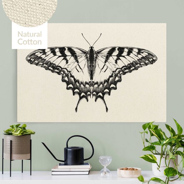 Quadri con farfalle Illustrazione Coda di rondine volante nera