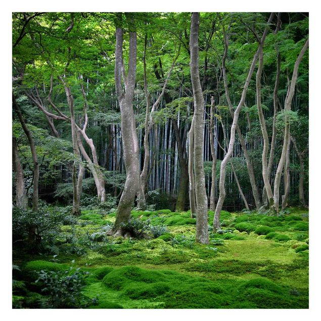 Carta da parati - Japanese Forest