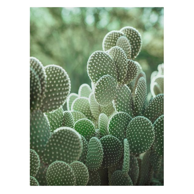 Quadro su tela - Cactus